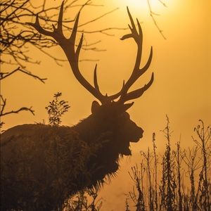 Meet your Posher, Ed